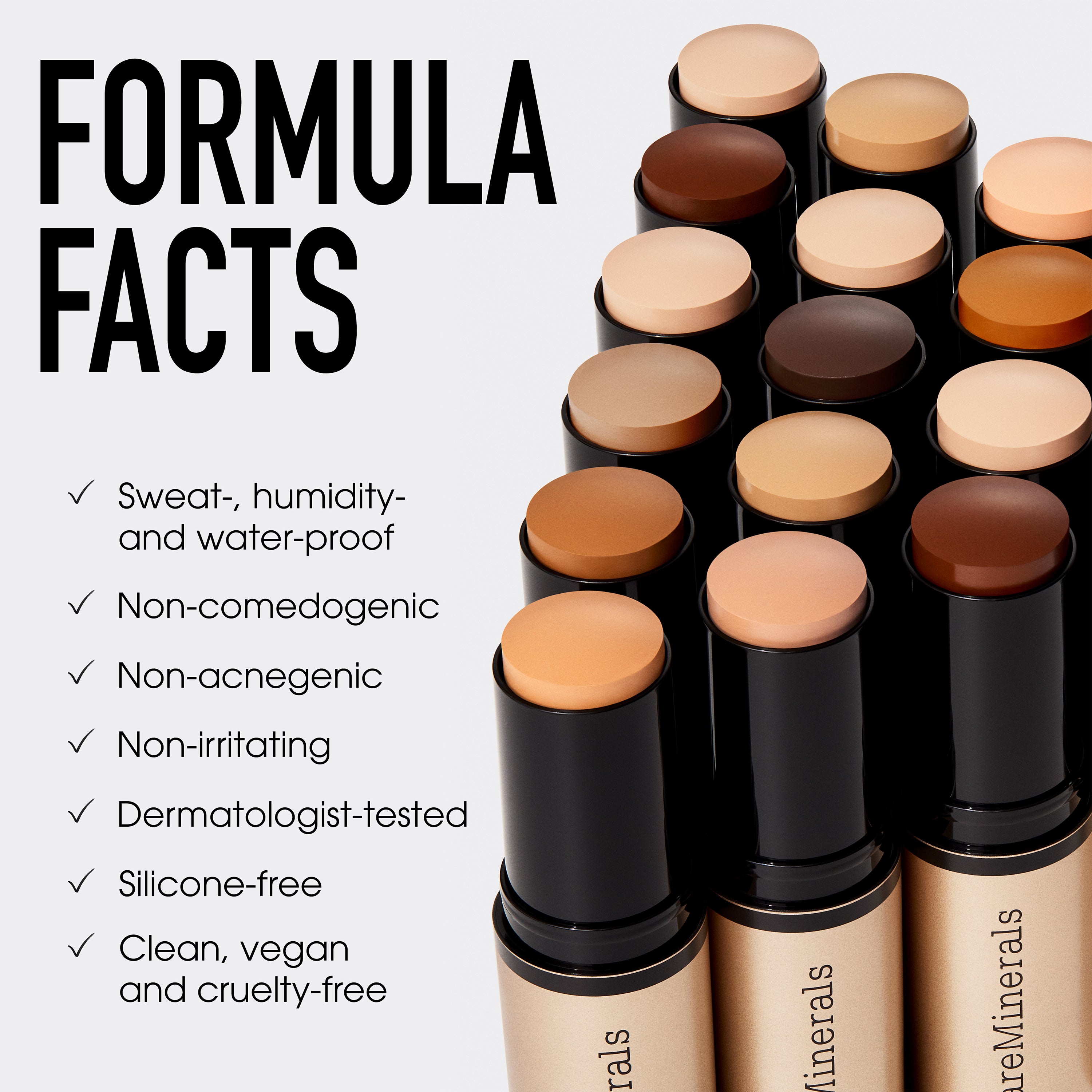 COMPLEXION RESCUE® Luminous Skin Tint Stick and ORIGINAL Mineral Veil® Set + Protect Brush