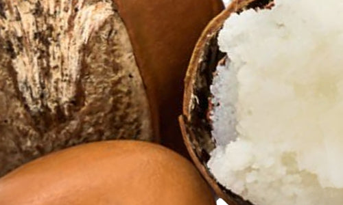 Cocao Butter + Shea Butter