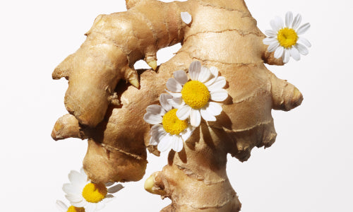 Bisabol and Ginger Root Extract Blend